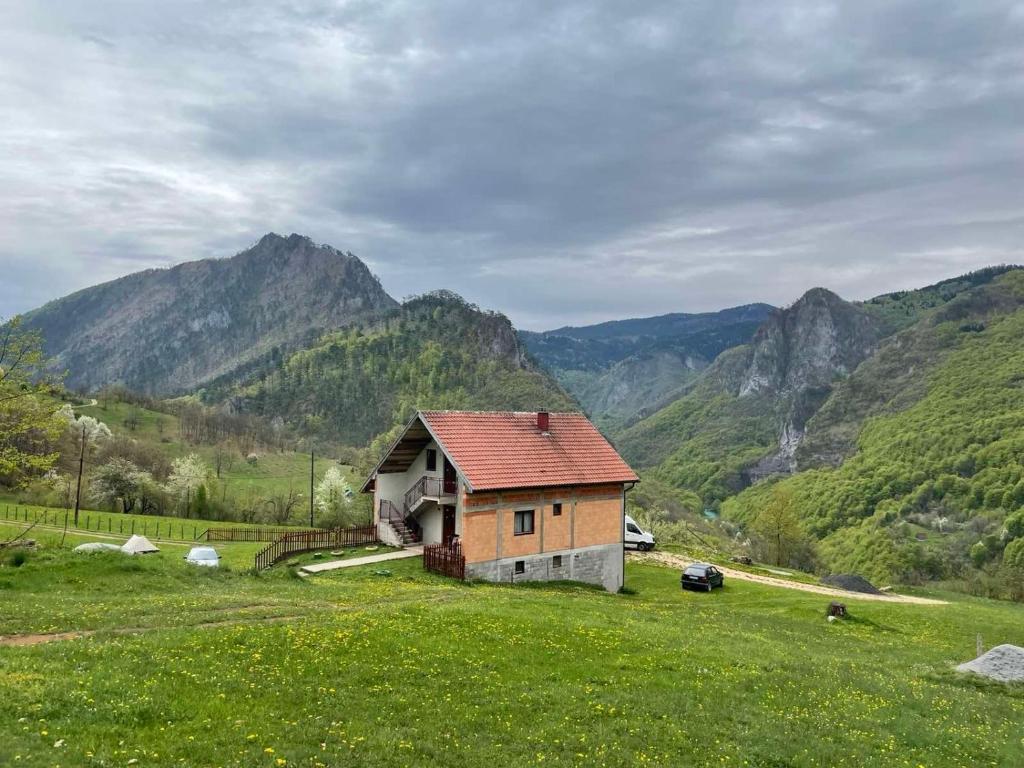 una casa en un campo con montañas en el fondo en Family owned self sufficient ECO farm TARA en Pljevlja