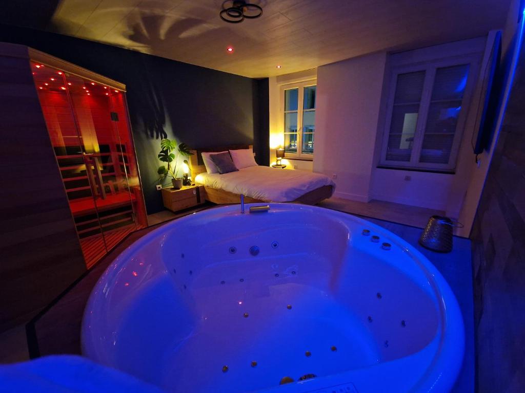 a large bath tub in a bedroom with a bed at Bulles Emotions in Arbois