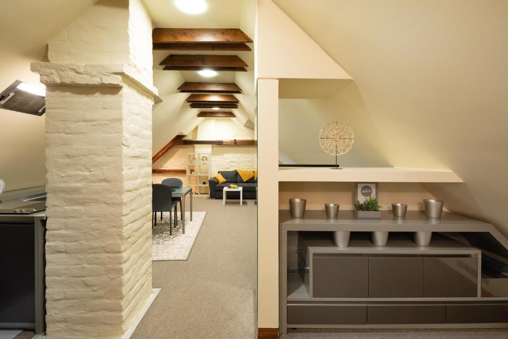 Old Town Charm One bedroom Spacious Loft Apartment nearby the Livu square - Loft