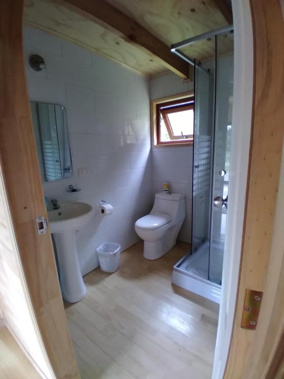 ein Bad mit einem WC, einem Waschbecken und einer Dusche in der Unterkunft El Refugio Escondido in Puelo