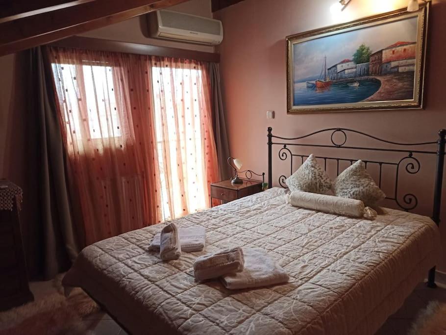 Postel nebo postele na pokoji v ubytování La casa dell' est in Ioannina