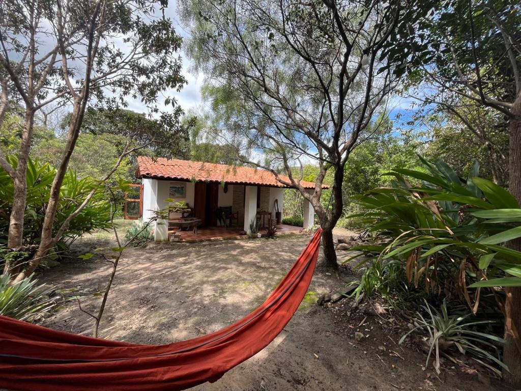 Casa no Mato Vale do Capão - Housity
