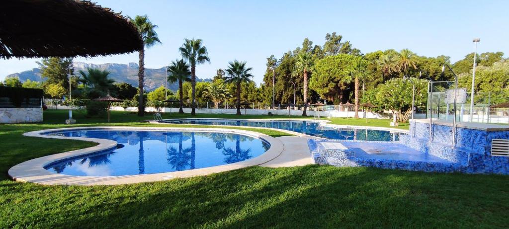 a large swimming pool in a yard with trees at Denia Beach Apartament Jardín privado y piscina in El Verger