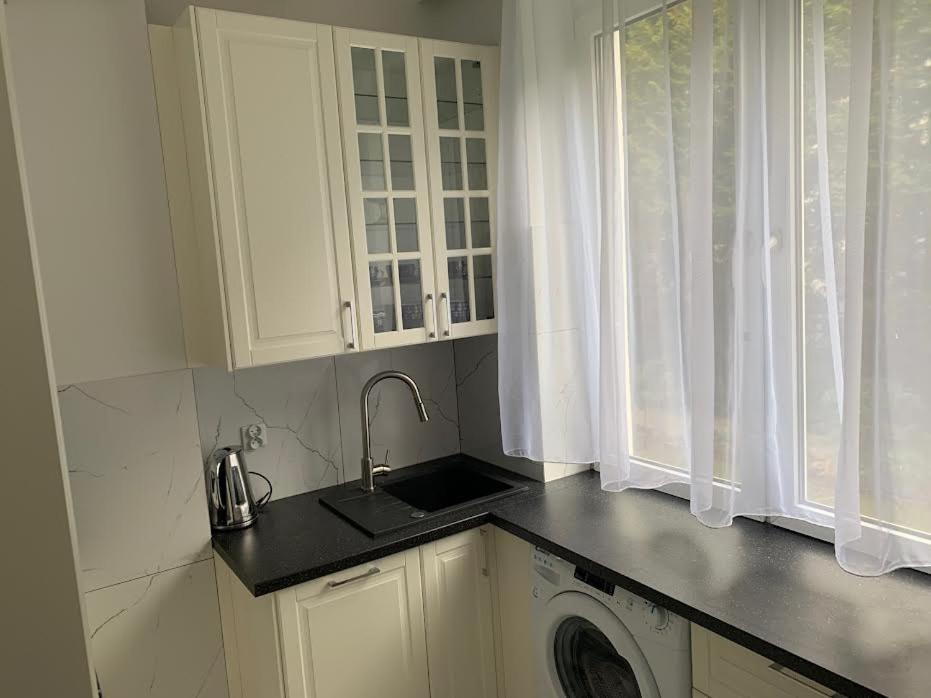 kuchnia ze zlewem i pralką w obiekcie Jurata Apartament Glamour w Juracie