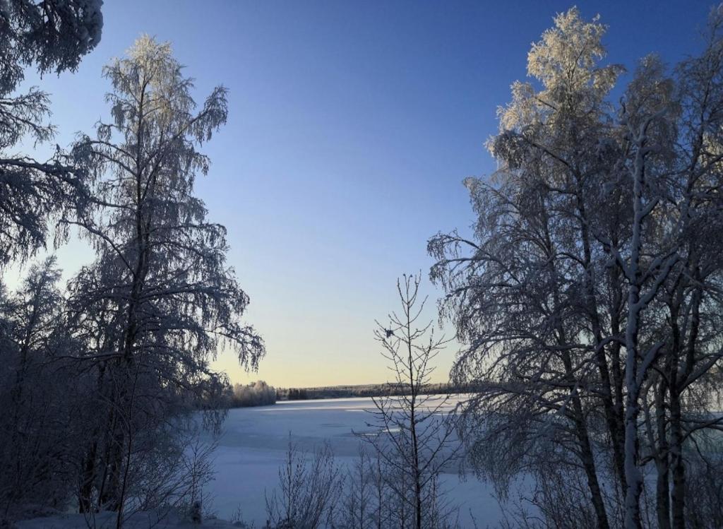 vista su un lago nella neve con gli alberi di Arctic Circle Home a Rovaniemi