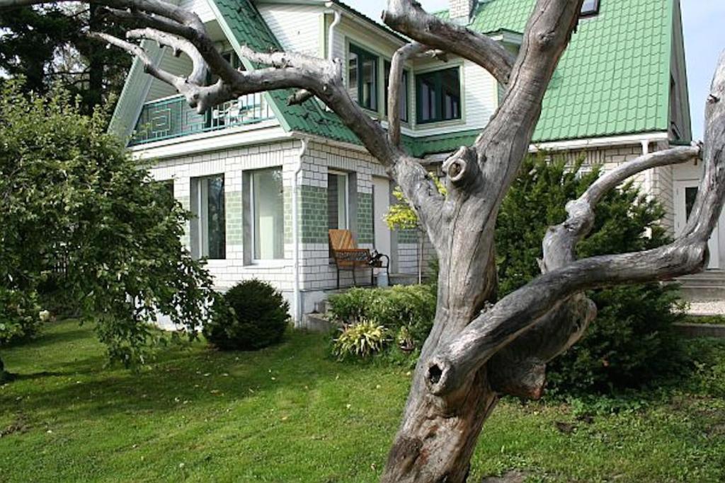 un árbol muerto delante de una casa en Allika Holiday House en Pärnu