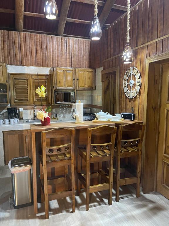Kuchyň nebo kuchyňský kout v ubytování Hacienda La Huerta Puerto Plata, 1 BDR