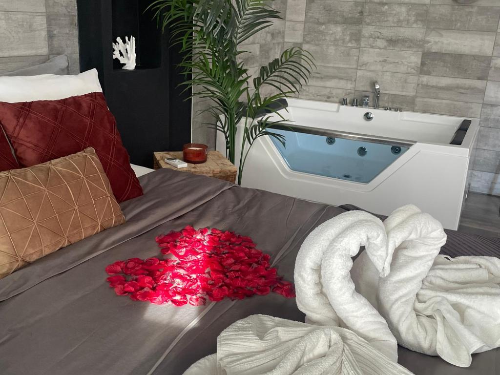 1 dormitorio con 1 cama con bañera y bañera en Superbe appartement avec balnéo., en Saint-Cyprien