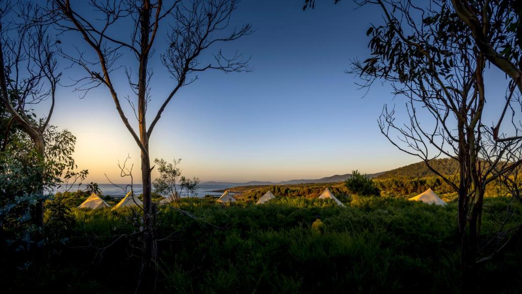 a view of the sunset from the campgrounds at Little Beach Resort in Four Mile Creek