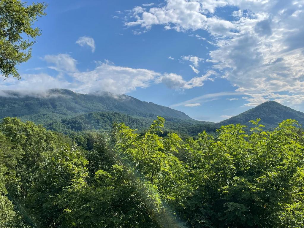 a view of the mountains with trees in the foreground at Bear Doodle 2.0 in Sevierville