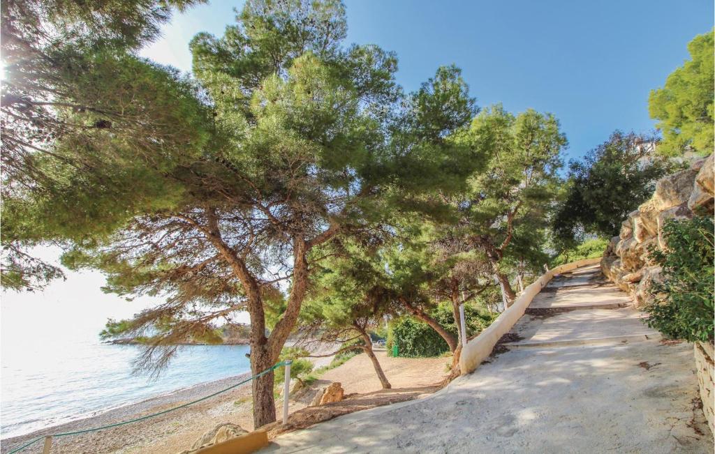 Príroda v okolí apartmánu