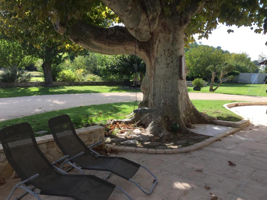 deux chaises assises devant un arbre dans l'établissement Mas de guffiage, à Bollène