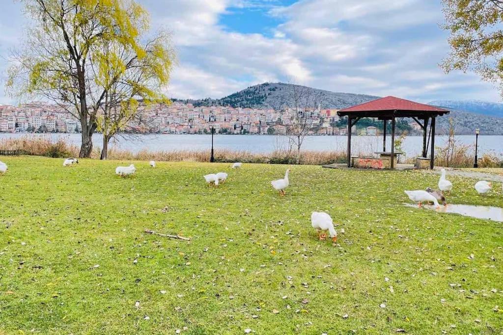 LIDA'S APARTMENT LAKE VIEW, Καστοριά – Ενημερωμένες τιμές για το 2023