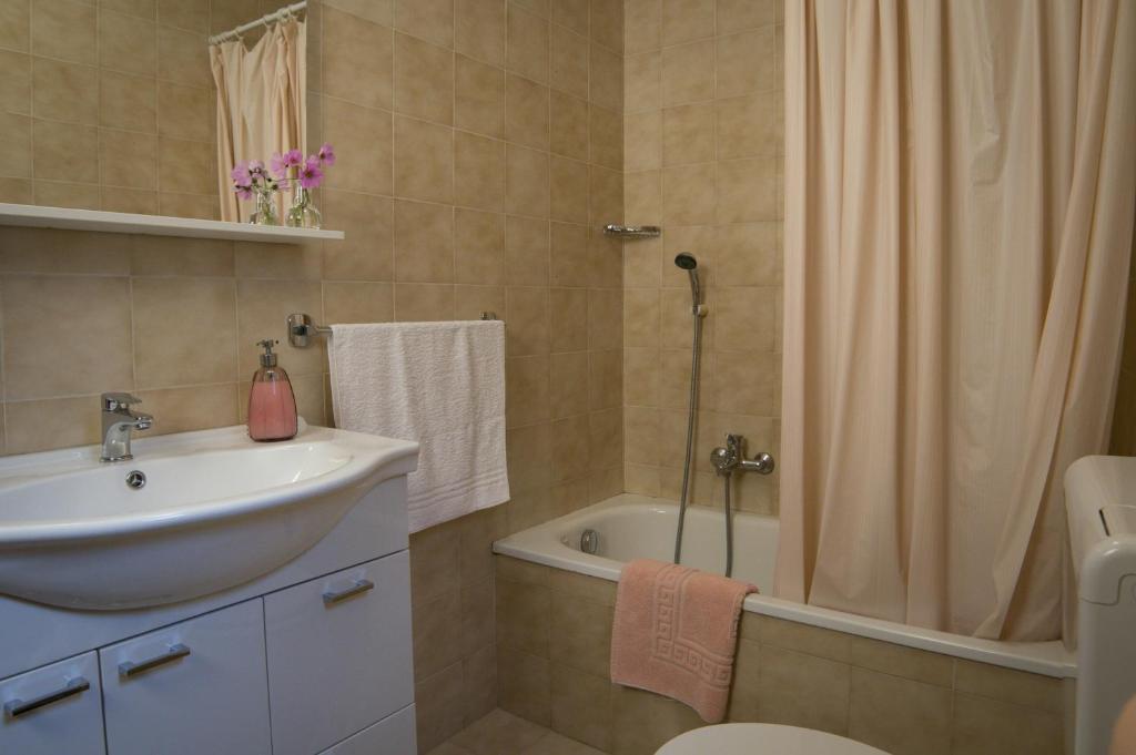 Koupelna v ubytování Apartmaji in sobe Marija Jera Štanjel