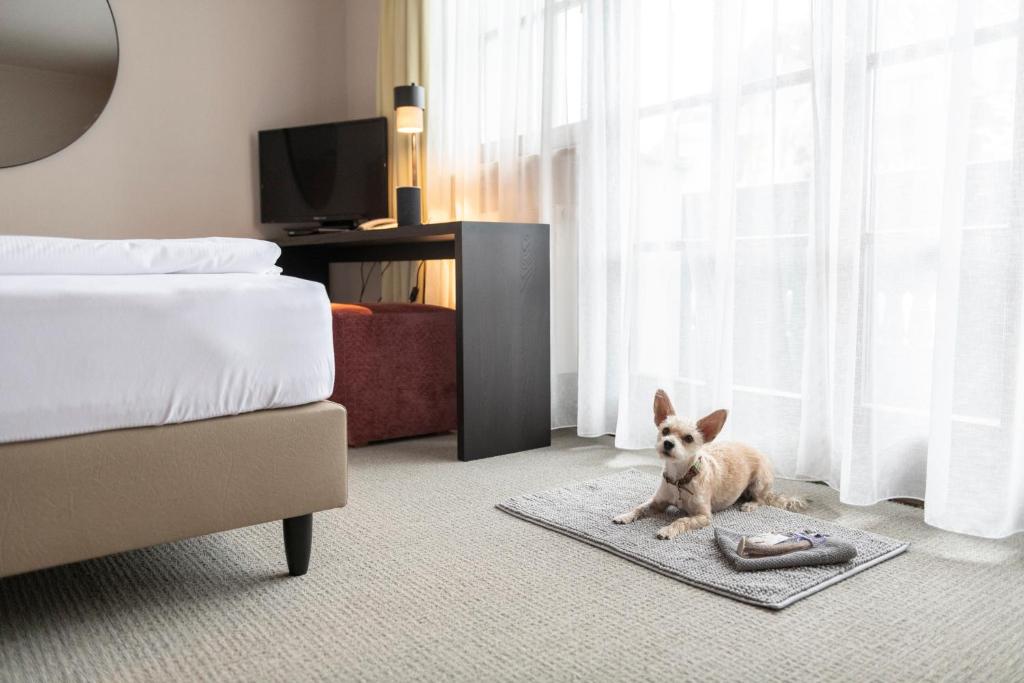 Posteľ alebo postele v izbe v ubytovaní Hotel Jakob