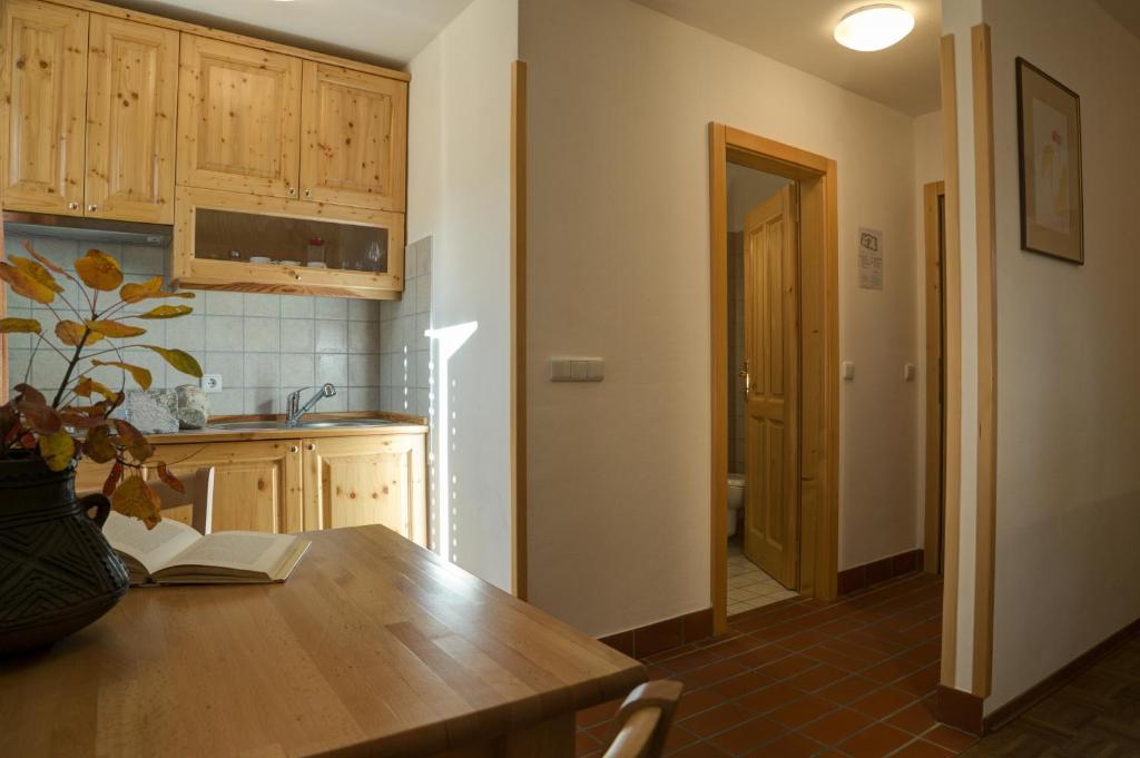 Kuchyň nebo kuchyňský kout v ubytování Apartmaji in sobe Marija Jera Štanjel