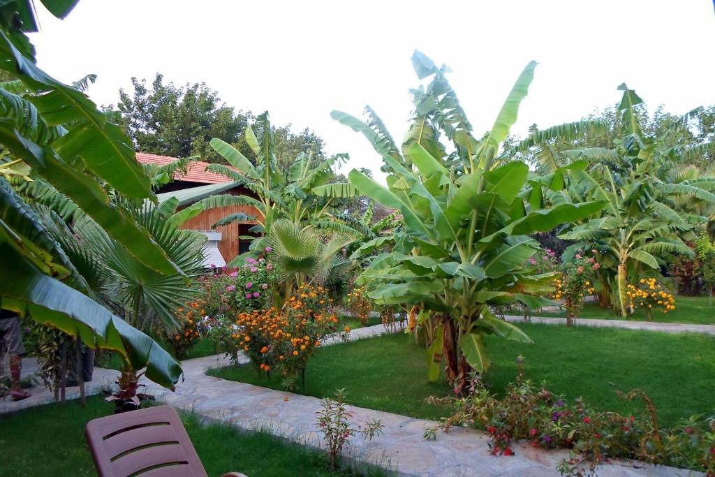 a garden with trees and plants and a building at Estelar Bungalow in Cıralı