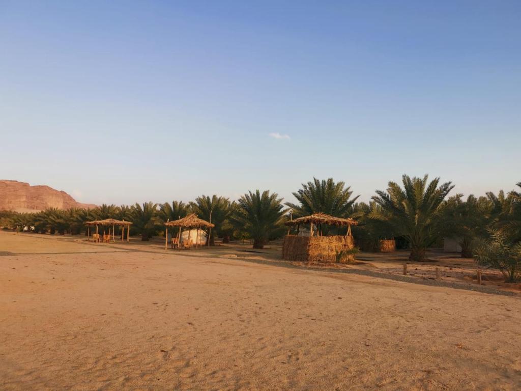 Almazham camp resort - отзывы и видео
