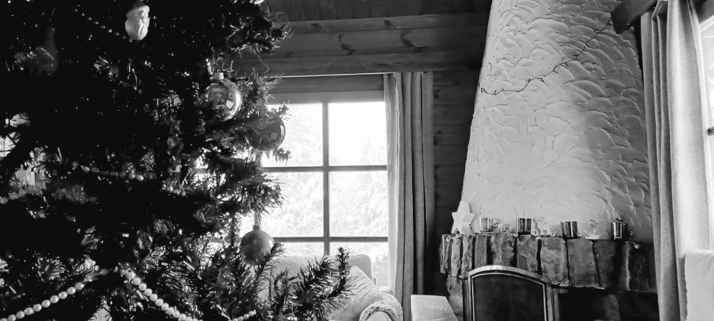 a christmas tree in a room with a window at Le Numéro 12 - Chalet à Francorchamps in Malmedy