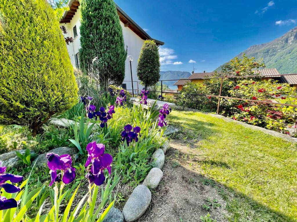 Zahrada ubytování Eden sul Lago di Como