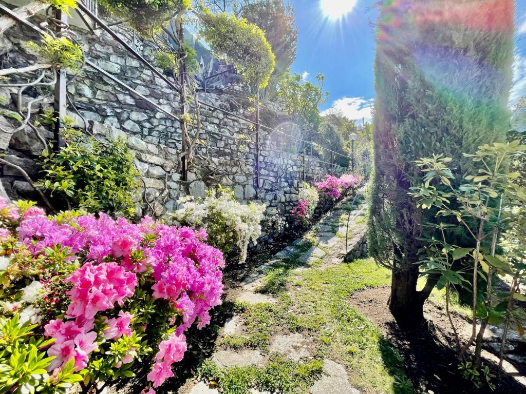 Zahrada ubytování Eden sul Lago di Como