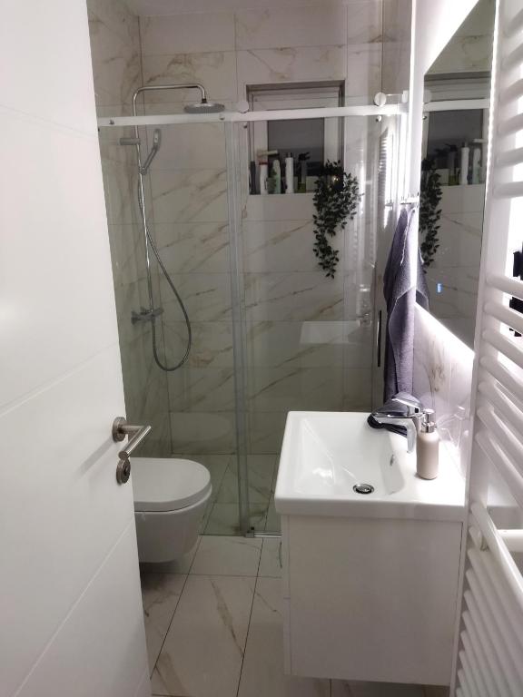 Łazienka w obiekcie Apartman na jezeru
