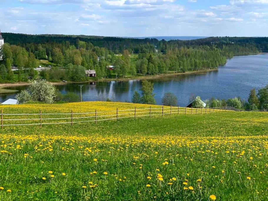 a field of flowers with a fence and a lake at Appartement in Jämtland bij Gusto Stables ... in Föllinge