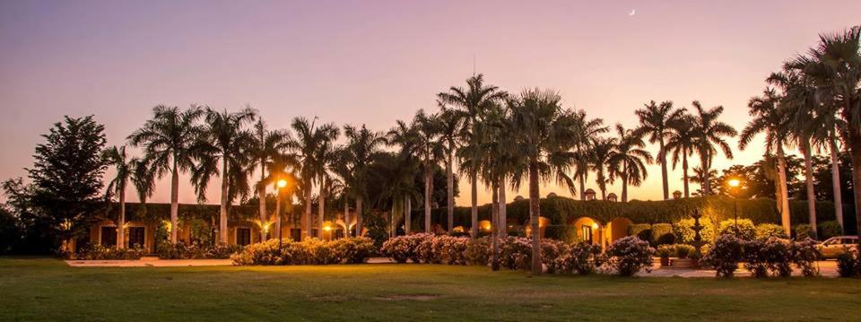 un parc avec des palmiers et une maison avec des fleurs dans l'établissement Hotel Hacienda Cazadores, à Navojoa