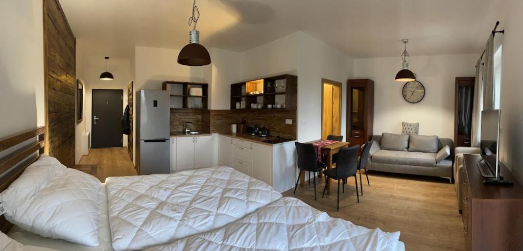 Kuchyň nebo kuchyňský kout v ubytování Apartmán Thermalpark Dunajská Streda