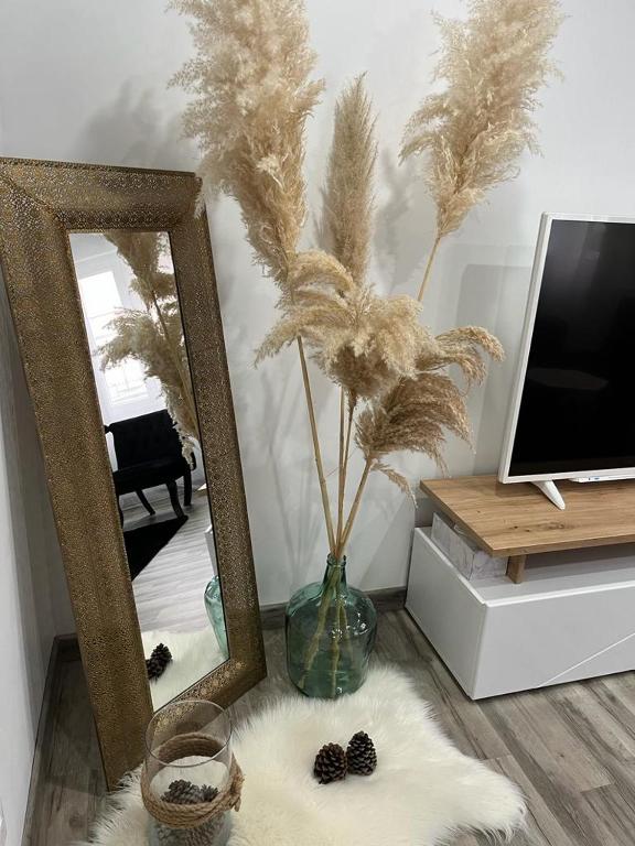 Colmar,appart chaleureux 2 pas centre avec jardin - Appartamento Con Una Camera Da Letto