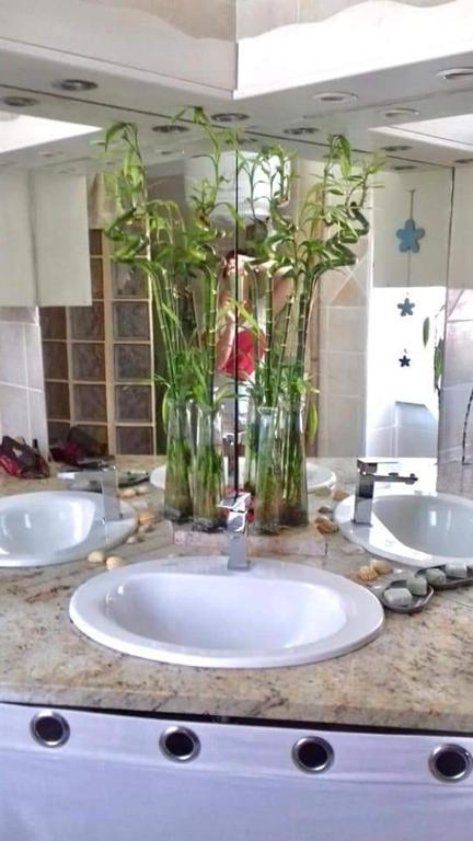 un mostrador de baño con 2 lavabos y flores en jarras en Maison du bonheur, en Borgo
