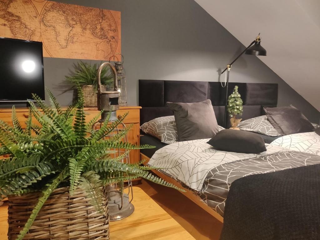 シュチェチンにあるSzarotkaのベッドルーム(ベッド1台、テレビ、植物付)