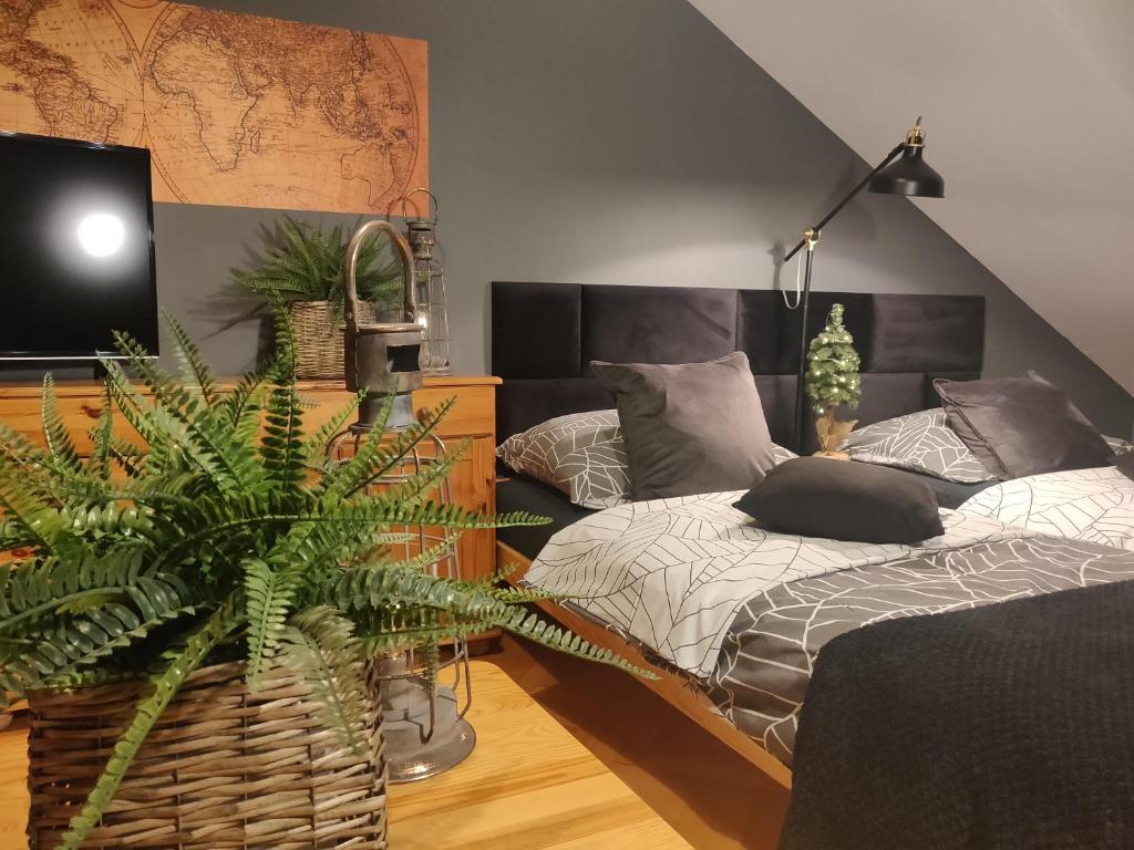 Un dormitorio con una cama y un televisor y una planta. en Szarotka, en Szczecin