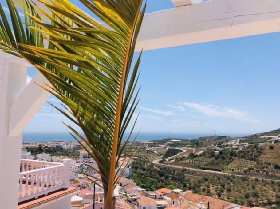 a palm tree sitting on top of a white building at Small village house with beautiful sea views in Torrox