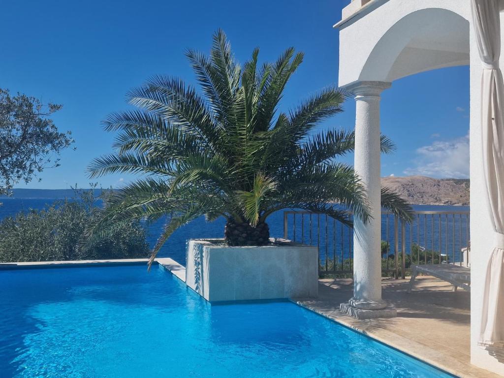 a palm tree sitting next to a swimming pool at Villa Mar - Only 50m To The Beach in Stara Baška