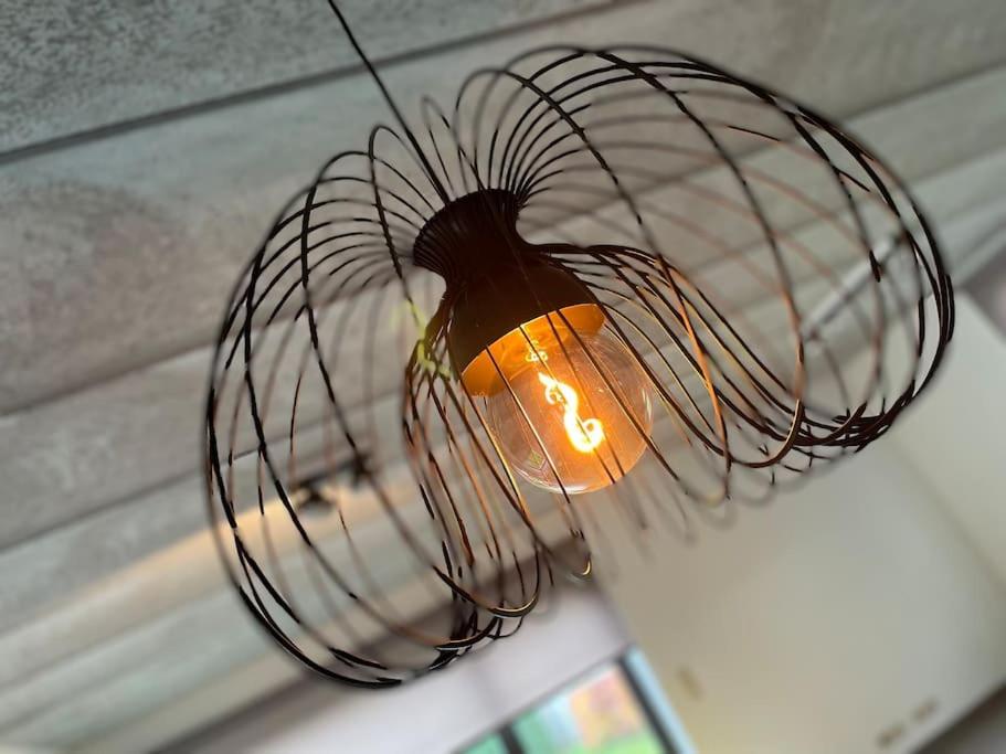 a light bulb in a wire basket hanging from a ceiling at Appartement à Courrière in Assesse