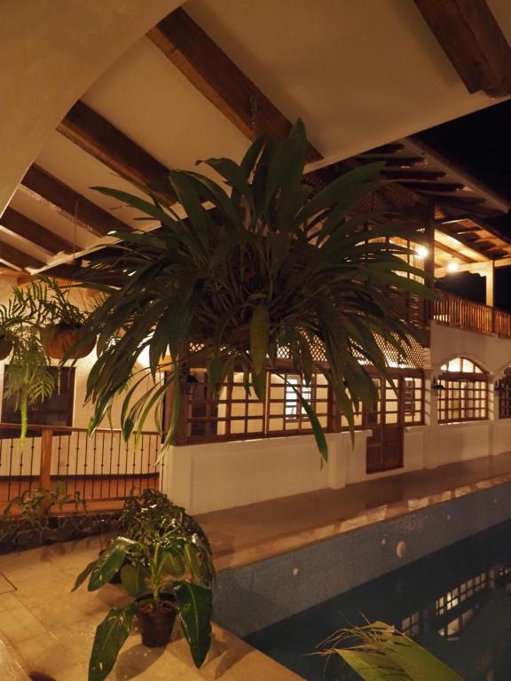 Bazén v ubytování Hacienda Las Vainillas Boutique Hotel nebo v jeho okolí