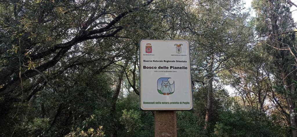 Táj a panziókat közelében