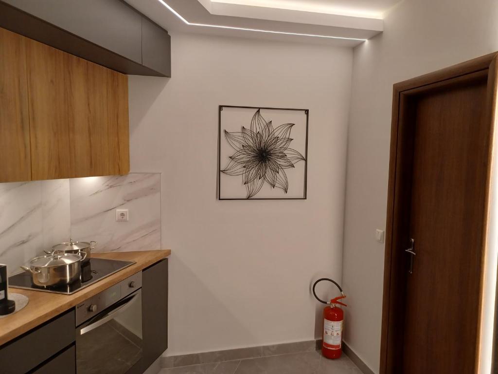 Kuchyň nebo kuchyňský kout v ubytování Top View Apartment