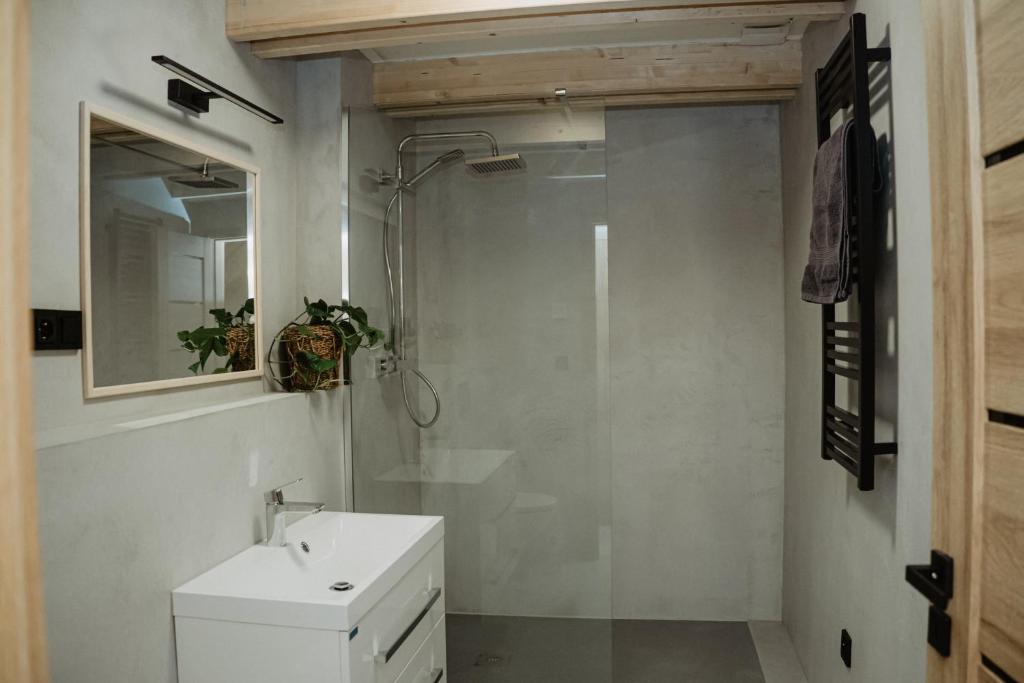 a bathroom with a shower and a toilet and a sink at VagusBouda / Hogo& in Loučná nad Desnou
