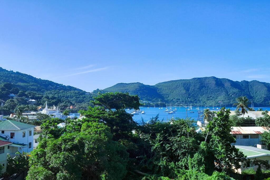 Port Elizabeth的住宿－StarFish Apartment，享有海港和水中船只的景色