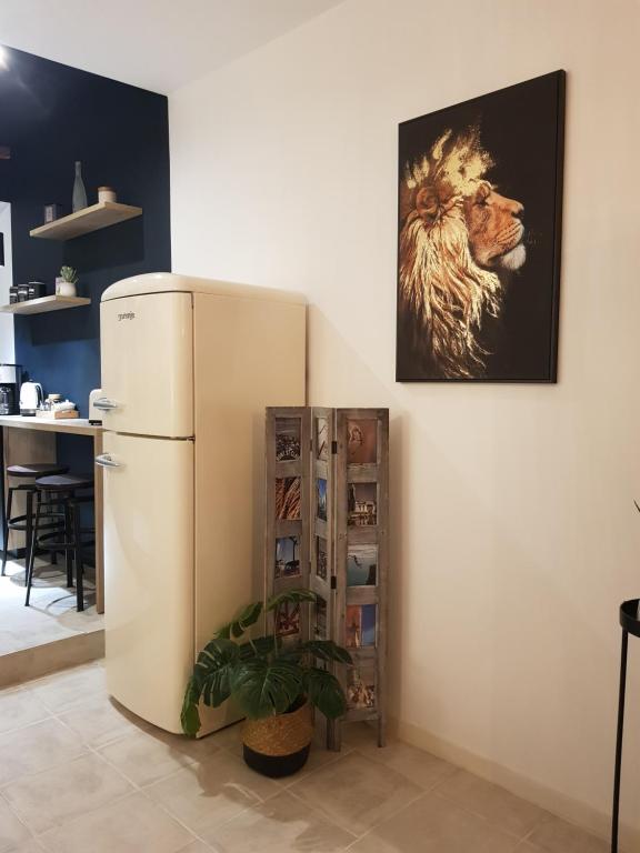 Kuchyňa alebo kuchynka v ubytovaní le J&J Appartement spacieux climatisé en centre ville