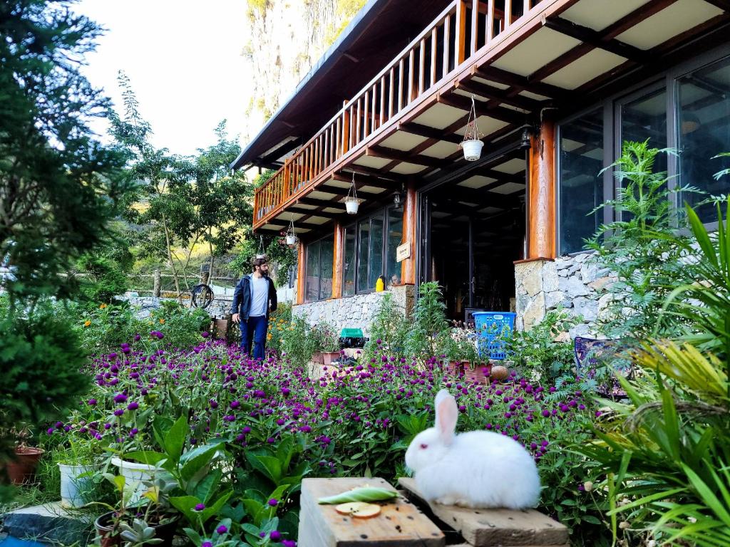 Zahrada ubytování DONG VAN CLIFFSIDE HOUSE