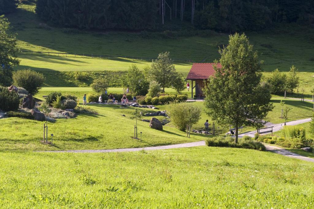 Příroda nedaleko hotelu