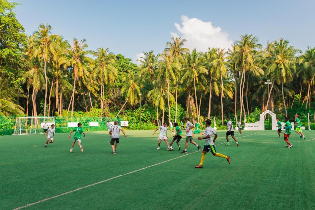 Hosté ubytování Amilla Maldives