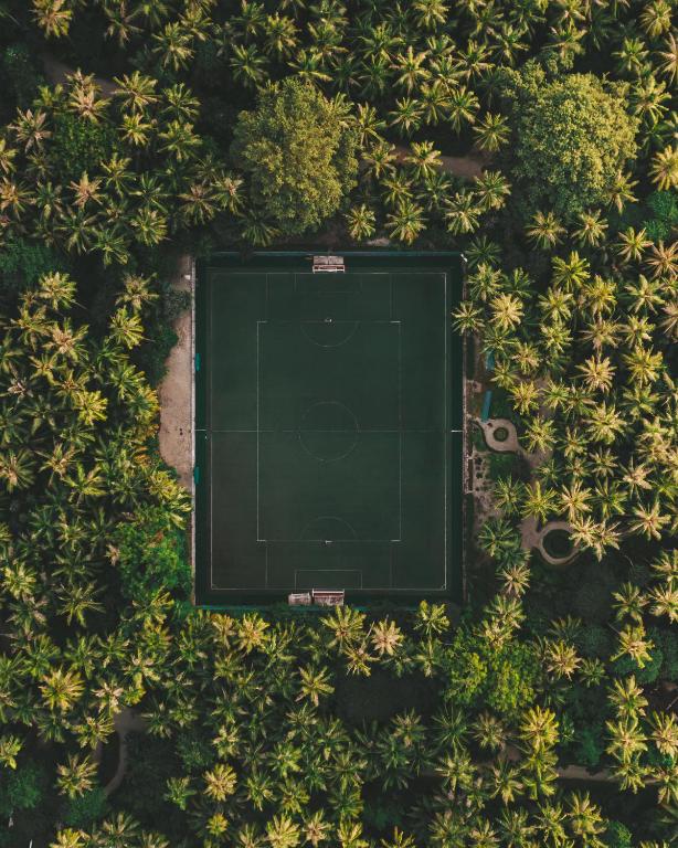 Zahrada ubytování Amilla Maldives