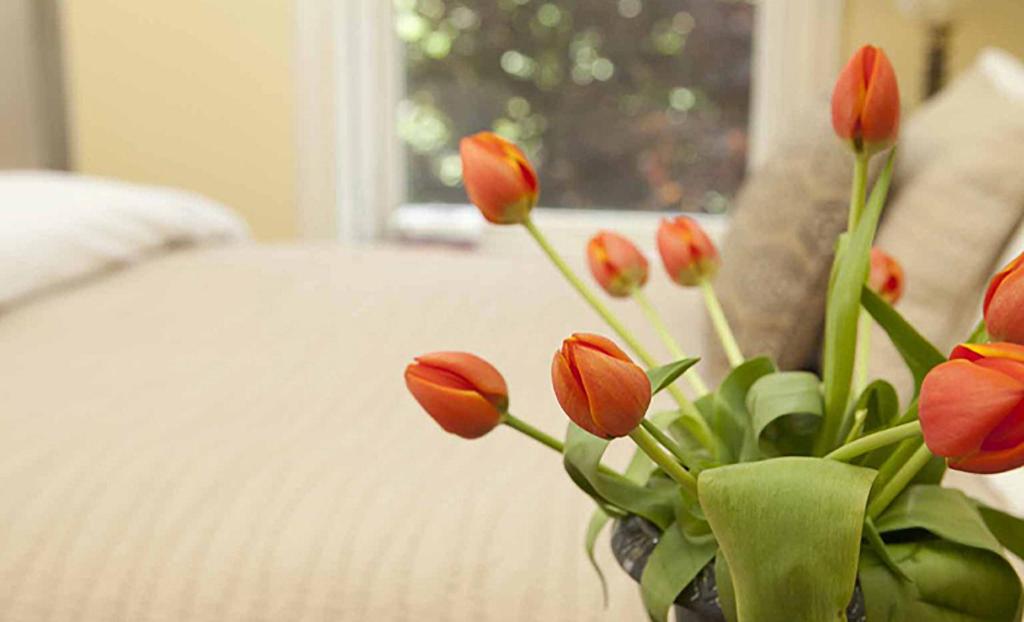 Morgan State House Inn - Deluxe Queen With Park View