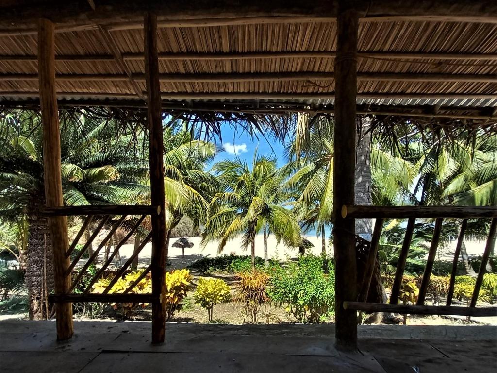 a view of a beach from a building with palm trees at Moheli Laka Lodge in Mohéli
