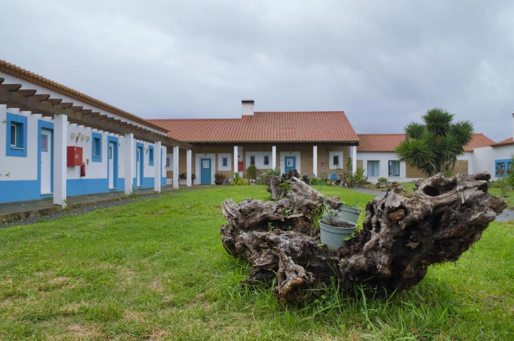 un gran tronco de árbol en el patio de una casa en Dias Distintos - Turismo Rural, en Colos