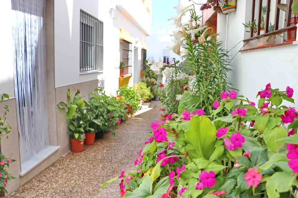Estudio Nardo